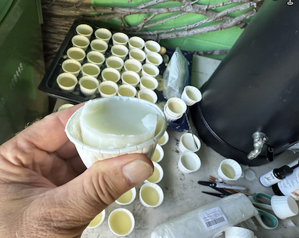 CRB Defense Wax Cups — finished product